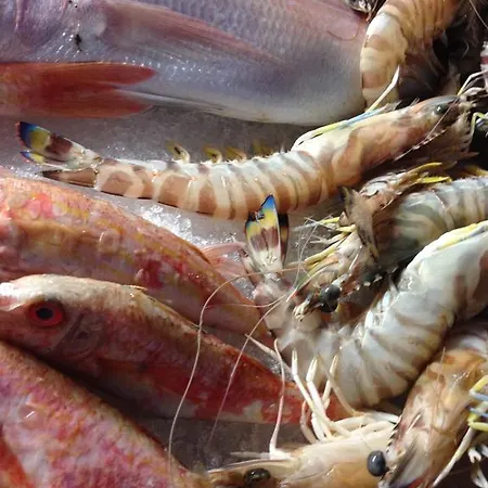 ホテル Port Deniz アラカティ