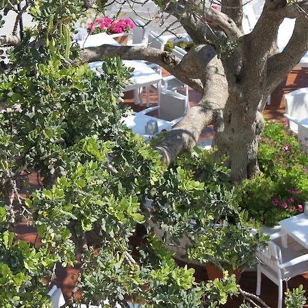 Hotel Port Deniz