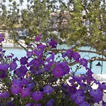 מלון Port Deniz