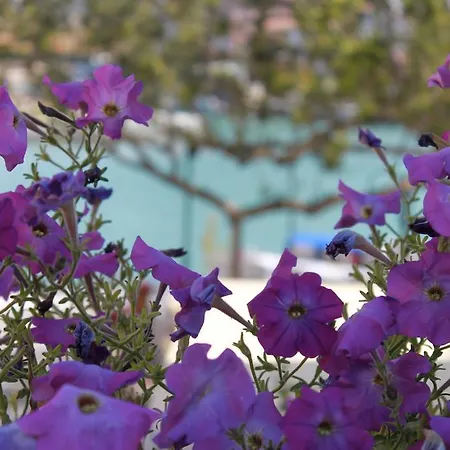 Port Deniz 5*